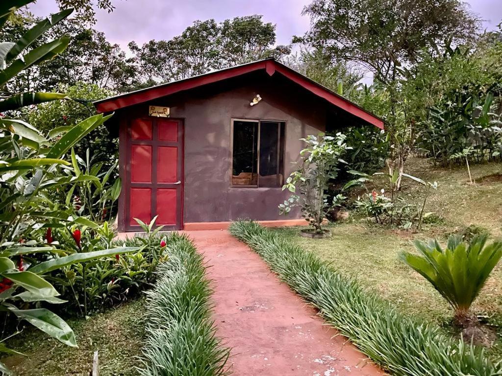 Hotel De Montana El Pelicano San Isidro De El General Экстерьер фото
