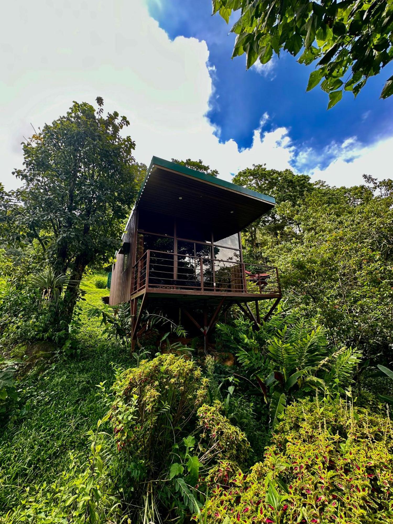 Hotel De Montana El Pelicano San Isidro De El General Экстерьер фото